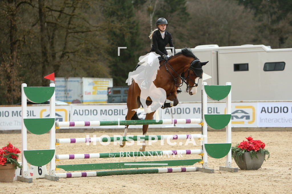 DL2Q3252 | Willkommen bei Brunnmayr - Design & Fotografie – Ihrem Spezialisten für Reitturniere und Pferdeveranstaltungen in Oberösterreich, Salzburg und Bayern! Seit über 17 Jahren sind wir leidenschaftlich dabei.