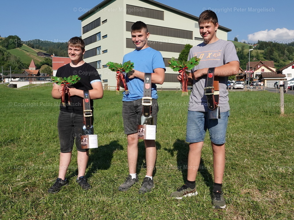 DSC04792 | Schwingen - Realisiert mit Pictrs.com