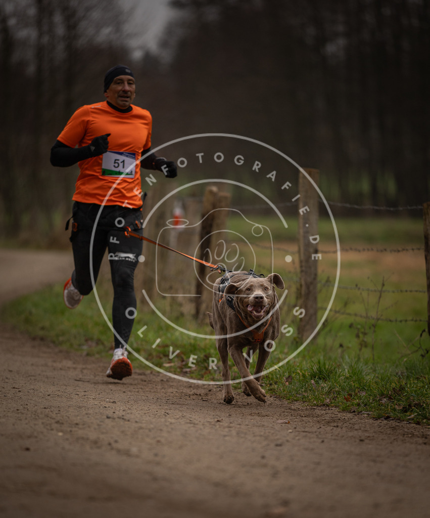 Pfotenfotografie_DV3A2866 | Hundefotografie, Tierfotograf, Pfotenfotografie, Fotoshooting Hund, Hunde Portrait, Hundesport, Hundeportraits, Heideshooting, Hunde, Sportfotograf, Hundefotograf, Turnierhundsport, THS,  - Realisiert mit Pictrs.com
