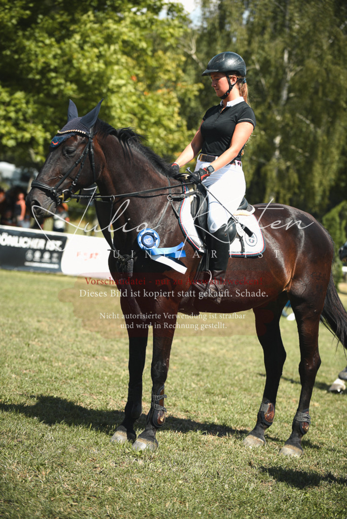 DSC_6821 | Pferde- und Turnierfotografie in Westsachsen. Pferdeportraits, Auftragszeichnungen und intuitive Kunst.