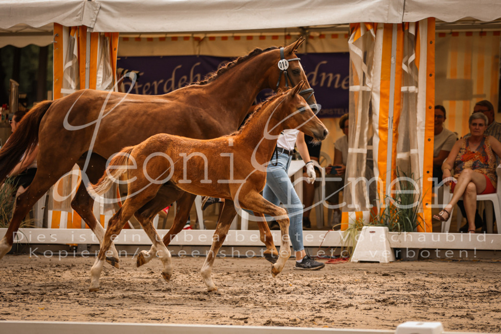 SaPA00203 | Leoni Ertmer Photography - Realisiert mit Pictrs.com