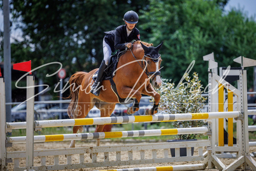20260705-_3LI5470 | Tierfotografie Pferde, Hunde, Katzen, Haustiere.
Turnierfotografie Reitturniere, Reiten, Springreiten, Dressur in Hanau, dem Main-Kinzig-Kreis und dem Rhein-Main- Gebiet um Frankfurt
