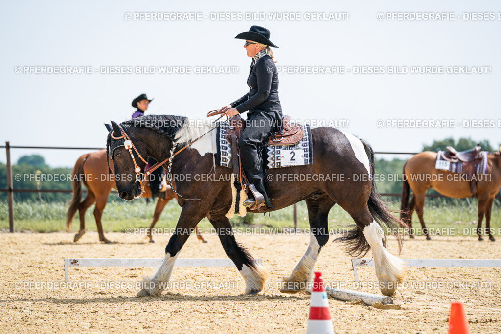 DSC00208 | Pferdegrafie