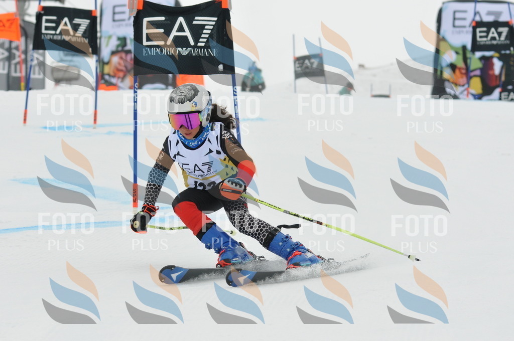 DSC_8235 | holidayphoto