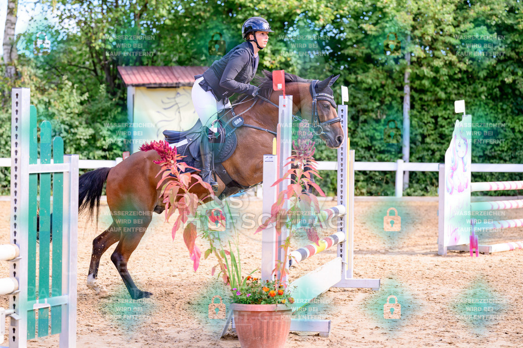 30082026-Giesenbach-Prfg16-0593 | Fokus Hufschlag Fotografie - Realisiert mit Pictrs.com