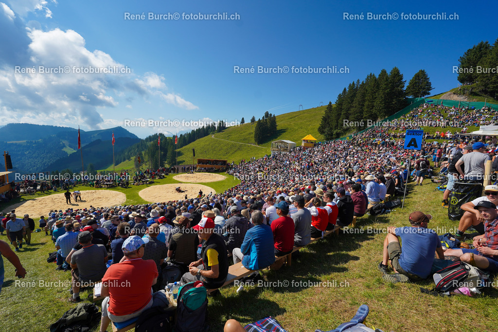 20220710-DSC02925 (2) | René Burch leidenschaftlicher Fotograf aus Kerns in Obwalden.  Hier finden sie Sport, Landschaft und Natur Fotografie.
 - Realisiert mit Pictrs.com