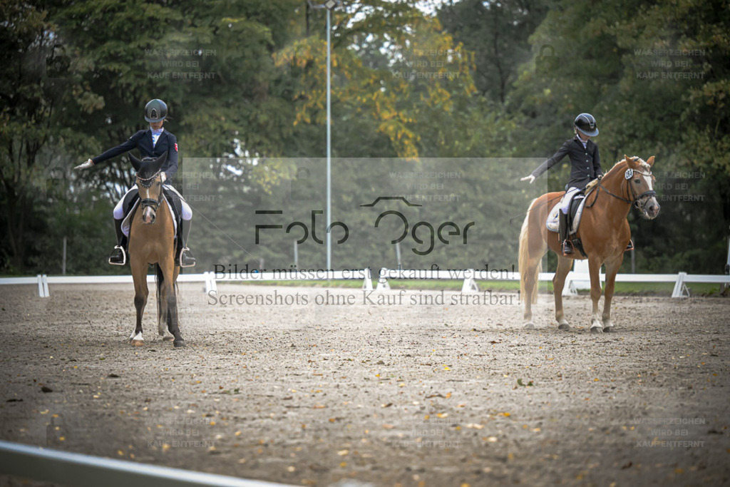 FOTO OGER | Entdecke hochwertige Reitturnierfotos von Foto Oger. Professionell, emotional und authentisch – jetzt Lieblingsmomente im Shop bestellen. - Realisiert mit Pictrs.com