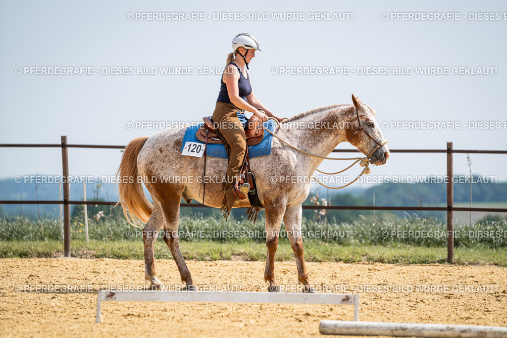 DSC00080 | Pferdegrafie