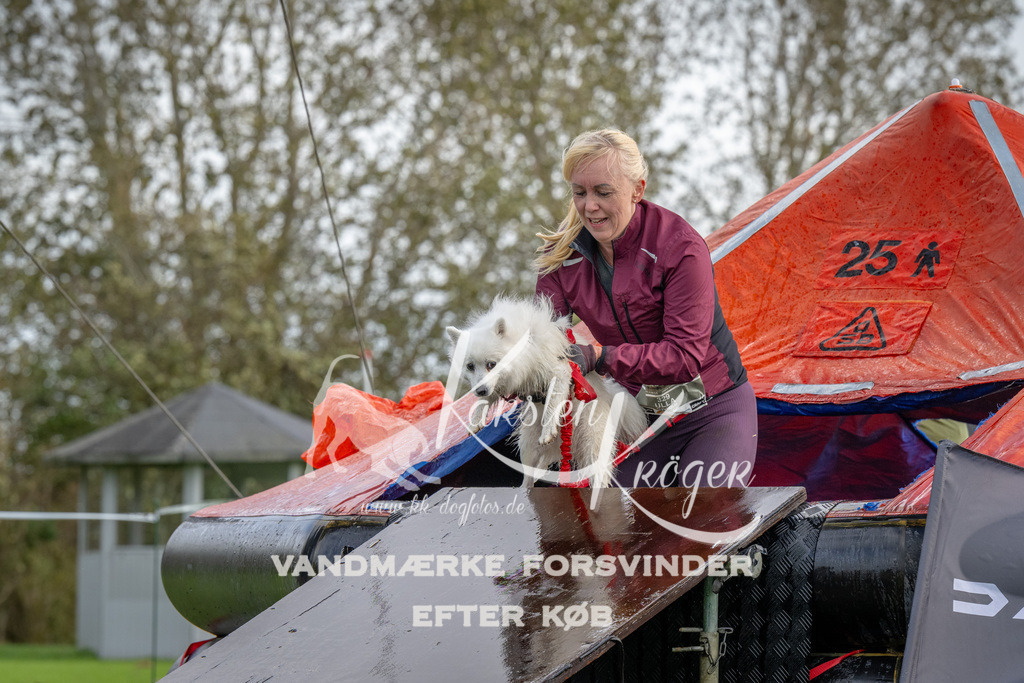 1217-93156 | kk-dogfotos