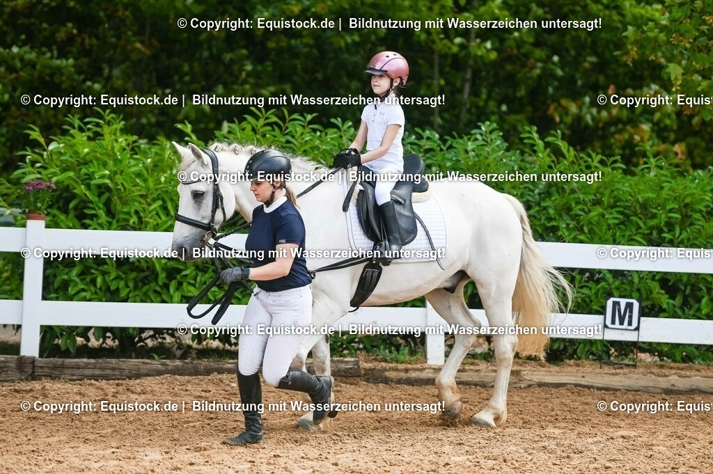 20230716_11_Führzügel-WB_0157 | equistock