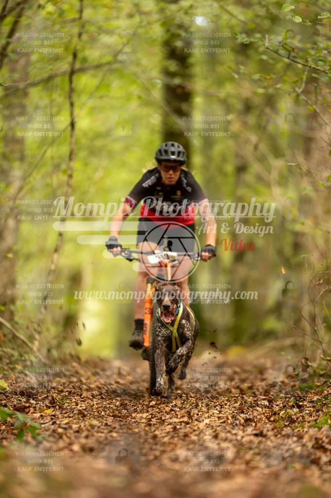 TSB_2023_E1_Bike-63 | PayLife
