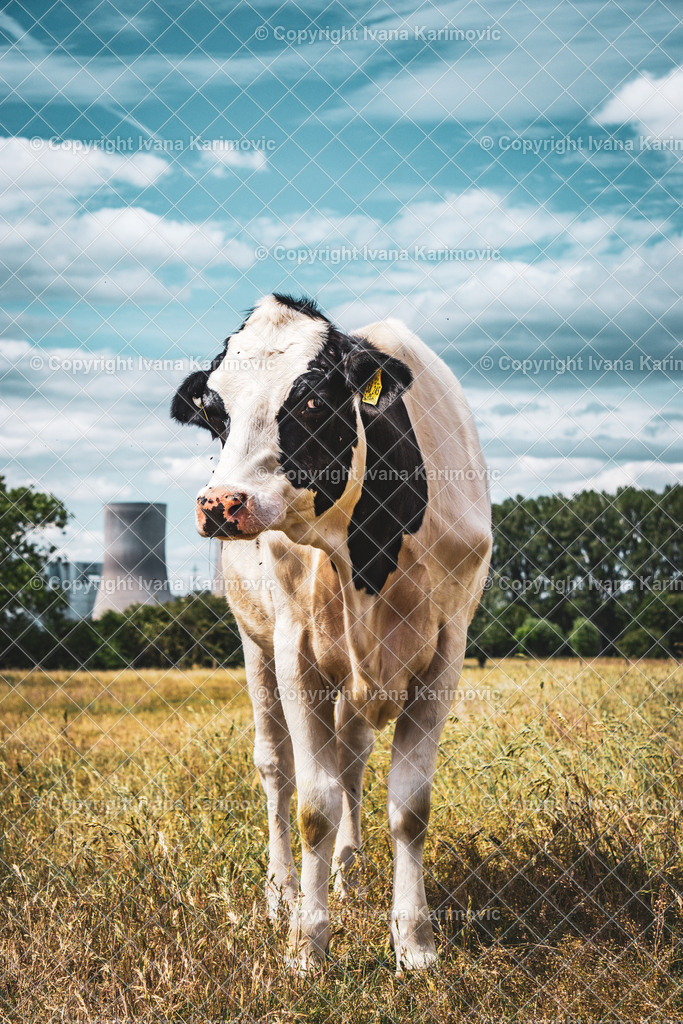 Lippstadt | ikphotography - Realisiert mit Pictrs.com