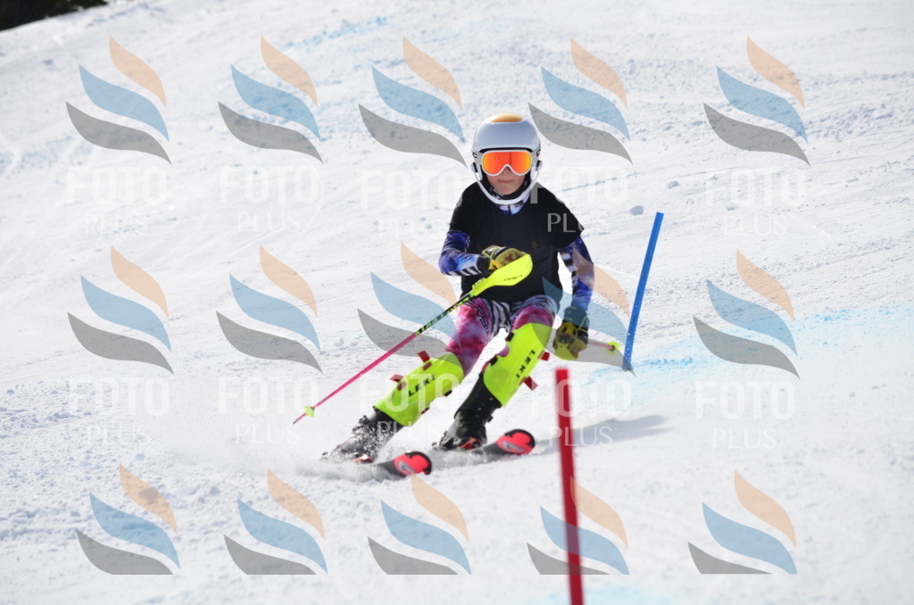 C9992 | holidayphoto