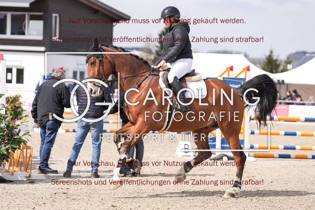 DSC05839 | Late_entry_Springturnier_Bad_Wurzach, Maren_Holz, Royal_Blue-N