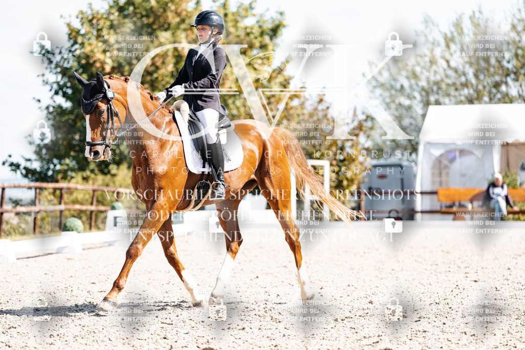 CK902811 | Turnierfotografie Pferdefotografie Trier Rheinland-Pfalz Pferdesport Reitsport Tierfotografie Sportfotografie Pferdevideo Pferdevideografie Equestrianvideography equestrianphotography  - Realisiert mit Pictrs.com