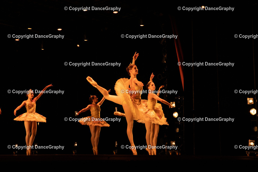 GPHY4525 | DanceGraphy - Realisiert mit Pictrs.com