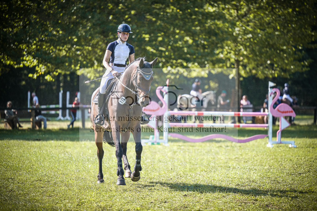 DOS_0472 | Entdecke hochwertige Reitturnierfotos von Foto Oger. Professionell, emotional und authentisch – jetzt Lieblingsmomente im Shop bestellen.Deutschlandweite Turnierfotografie. - Realisiert mit Pictrs.com