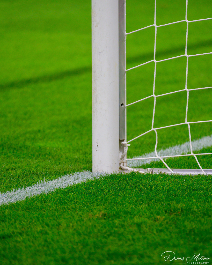 _DSC8924 | Fotografien, Fotos und Bilder aus Mainz, Frankfurt, Wiesbaden und anderen Orten auf der Welt - Fotografiert von Darius Metzner