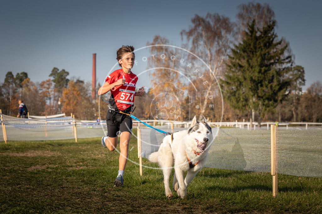 CaniXpix_0L8A9567 | Hundefotografie, Tierfotograf, Pfotenfotografie, Fotoshooting Hund, Hunde Portrait, Hundesport, Hundeportraits, Heideshooting, Hunde, Sportfotograf, Hundefotograf, Turnierhundsport, THS,  - Realisiert mit Pictrs.com