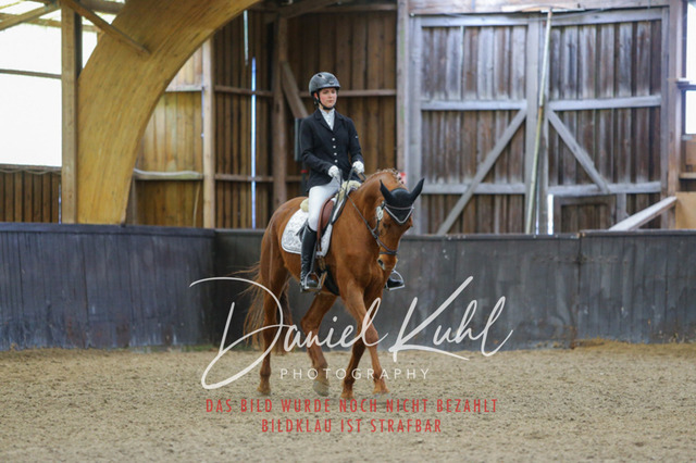 IMG_0378 | Turniersportfotografie; Pferdefotografie; Dressurfotografie