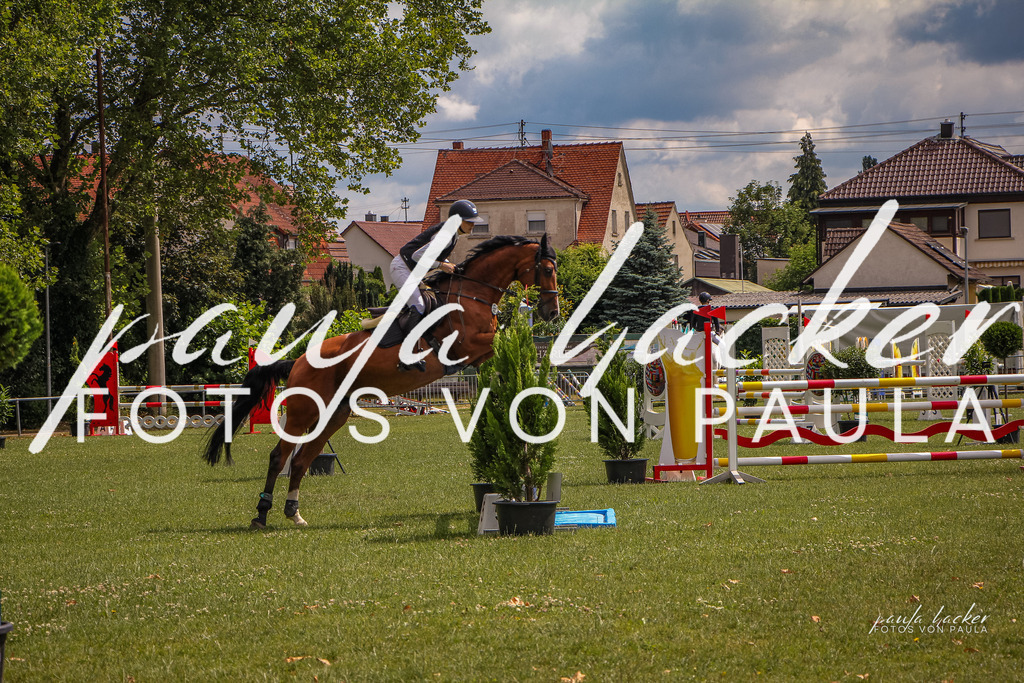 IMG_9022 | Erleben Sie dynamische Sport- und emotionale Tierfotografie in Süddeutschland mit Fotos von Paula. Spezialisiert auf Pferde- und Hundefotografie sowie Sportevents. Kontaktieren Sie mich für einzigartige und ausdrucksstarke Bilder Ihrer besonderen Momente. - Realisiert mit Pictrs.com