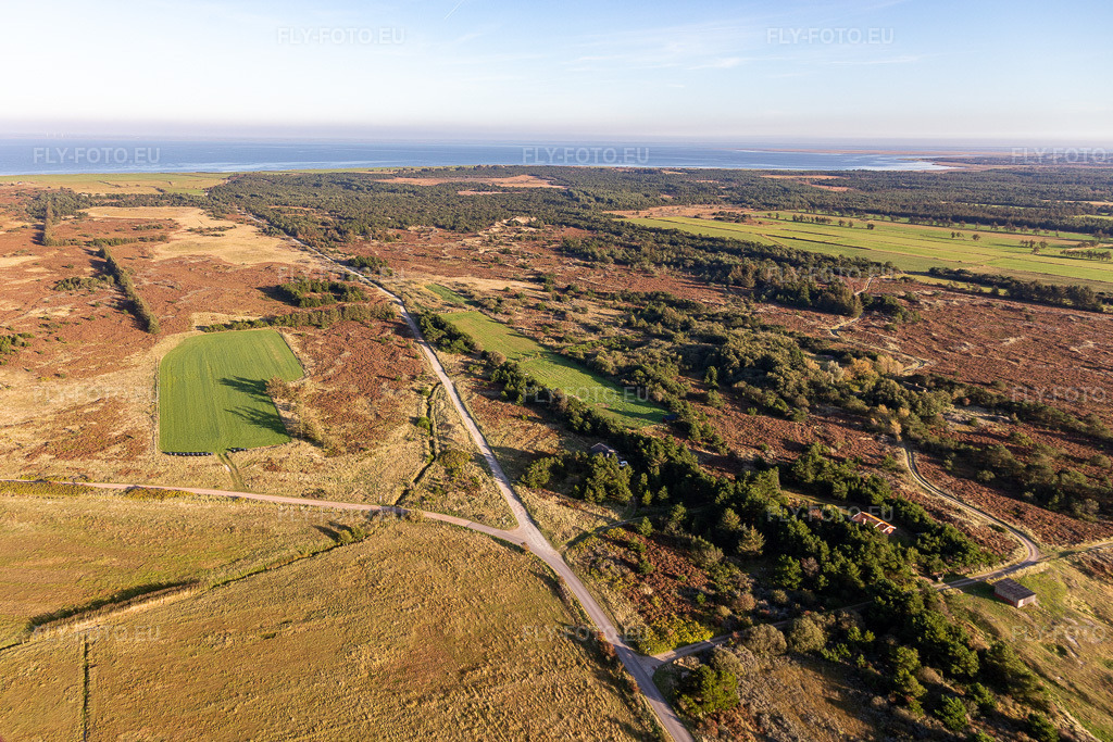 Vue aérienne: Parc national de la mer des Wadden à Fanø dans le département Syddanmark, Danemark. Photo: IMG_118825.jpg prise le 21/09/2019 par Werner Riehm/FLY-FOTO.eu – Résolution de l'original: 5093 x 3396 px