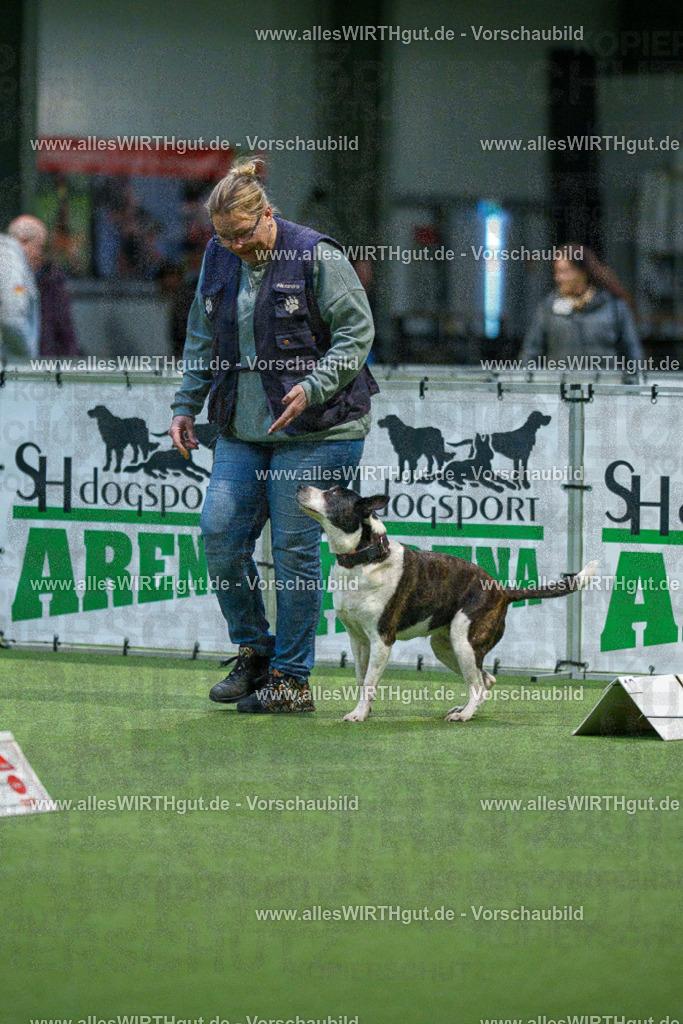 7R509807 | Professionelle Tierfotografie in Mönchengladbach von Daniel Wirth (allesWIRTHgut). Liebevolle & natürliche Bilder von Hunden & Katzen für unvergessliche Erinnerungen.