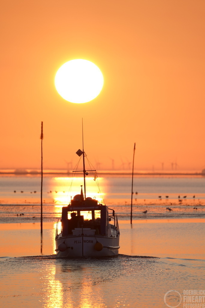 _A7R2876 | Björn Thiemann; Ogenblick.de; Fotografie; Photograph; Landscape, Pellworm, Schleswig-Holstein; Inselfotograf; Inselfotografien; Wattenmeer; National-Park; Naturschutzgebiet; Leuchtturm; Lighthouse; Leinwandbilder; Kalender; Pellworm Kalender;  - Realisiert mit Pictrs.com