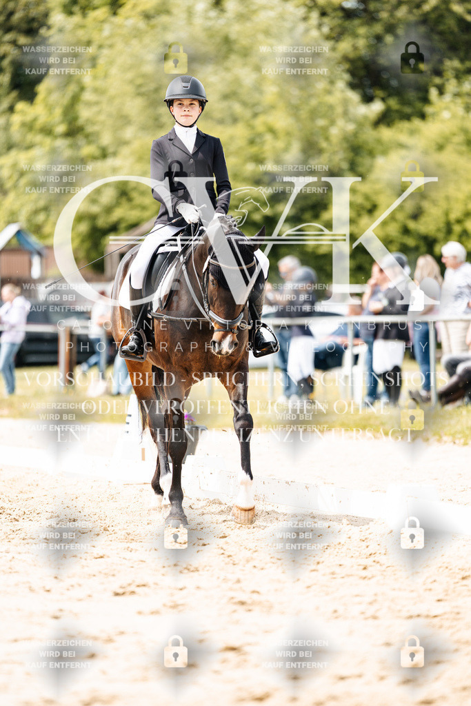 CK902594 | Turnierfotografie Pferdefotografie Trier Rheinland-Pfalz Pferdesport Reitsport Tierfotografie Sportfotografie Pferdevideo Pferdevideografie Equestrianvideography equestrianphotography  - Realisiert mit Pictrs.com