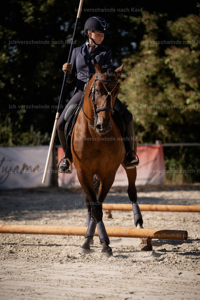 WS_ST_46_stoibphotography_SO11796 | working equitationturnier fotograf videograf stoibphotography marixx film working equitation deutschland reitsport turnierfotografie eventfotografie equestrian events