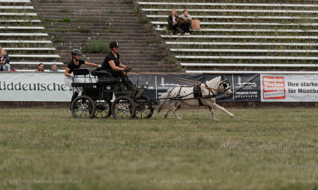 Showprogramm-504 | working equitationturnier fotograf videograf stoibphotography marixx film working equitation deutschland reitsport turnierfotografie eventfotografie equestrian events