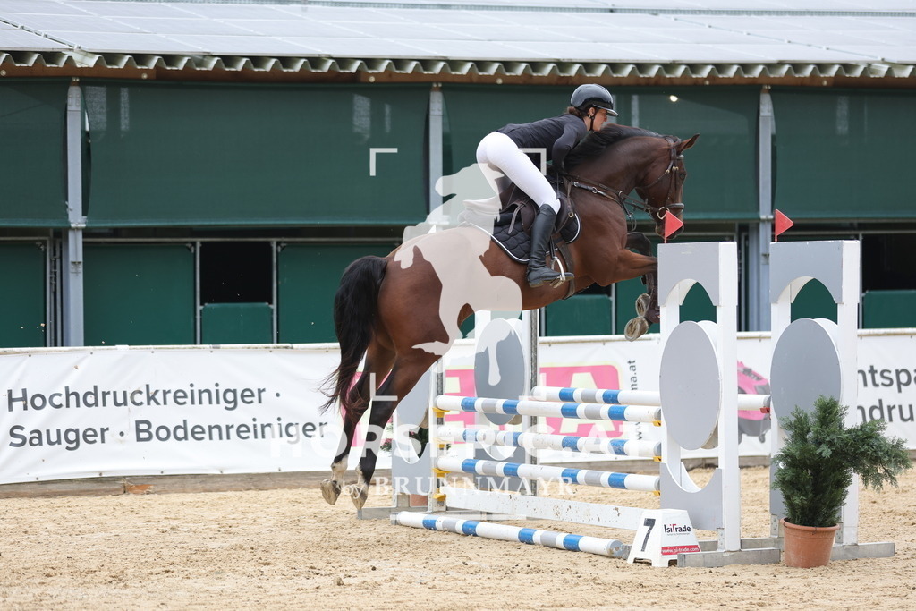 0P6A5534 | Willkommen bei Brunnmayr - Design & Fotografie – Ihrem Spezialisten für Reitturniere und Pferdeveranstaltungen in Oberösterreich, Salzburg und Bayern! Seit über 17 Jahren sind wir leidenschaftlich dabei.