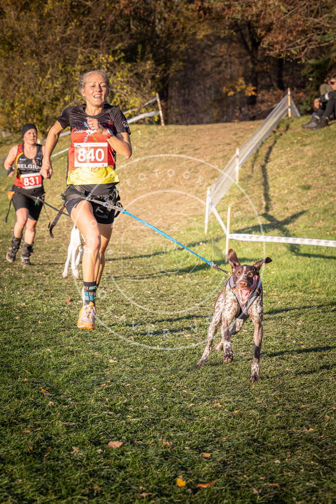CaniXpix_0L8A0719 | Hundefotografie, Tierfotograf, Pfotenfotografie, Fotoshooting Hund, Hunde Portrait, Hundesport, Hundeportraits, Heideshooting, Hunde, Sportfotograf, Hundefotograf, Turnierhundsport, THS,  - Realisiert mit Pictrs.com
