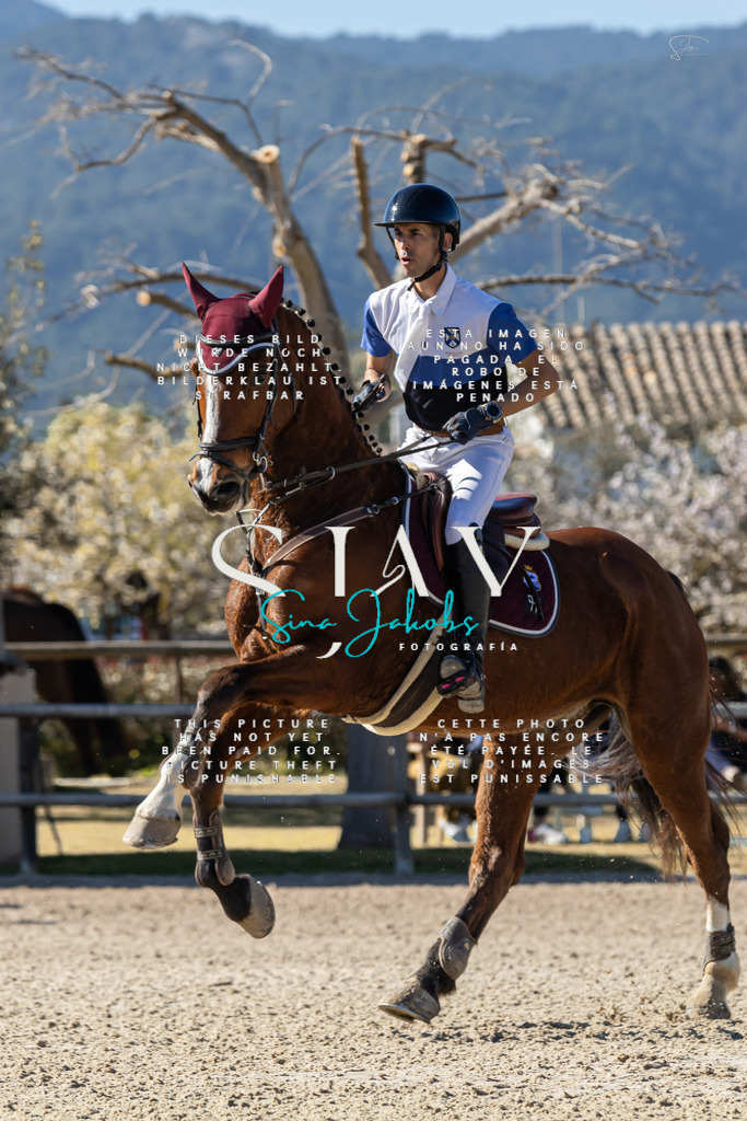 IMG_1205 | s-jay-photography - Realisiert mit Pictrs.com