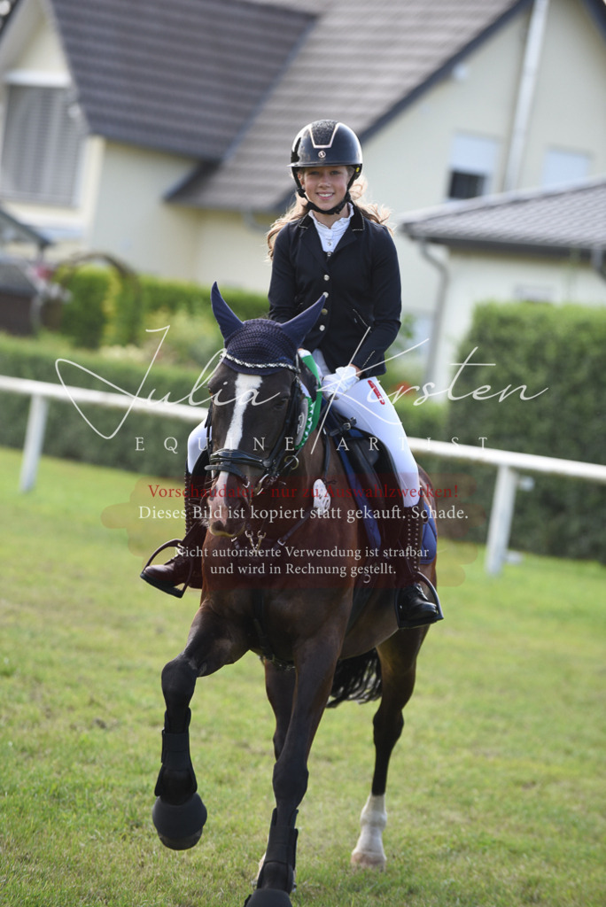 DSC_9015 | Pferde- und Turnierfotografie in Westsachsen. Pferdeportraits, Auftragszeichnungen und intuitive Kunst.