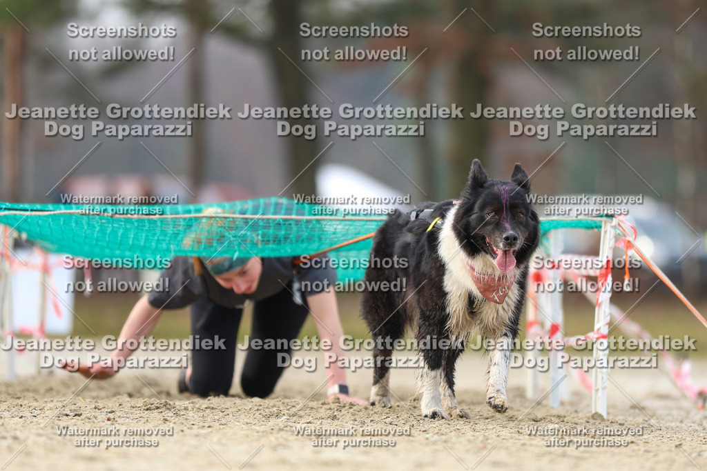 Dog Paparazzi - Strongdog North Mrz26-4334 | Dog Paparazzi Jeanette Grottendiek Fotografie & Videografie - Realisiert mit Pictrs.com