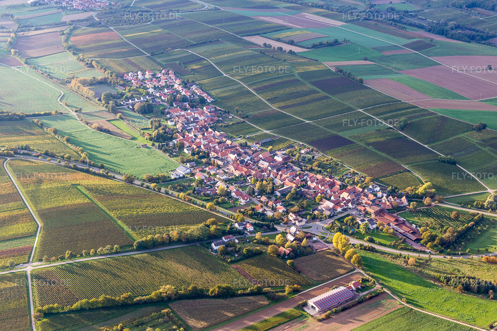 Luftbild: landwirtschaftlichen Feldern und Nutzflächen in Niederhorbach im Bundesland Rheinland-Pfalz in Deutschland. Foto: IMG_074631.jpg vom 14.10.2014 durch Werner Riehm/FLY-FOTO.de