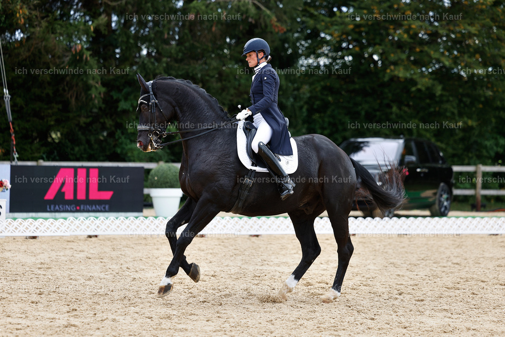 11-042-Dressur S___-StoibPH-1204 | working equitationturnier fotograf videograf stoibphotography marixx film working equitation deutschland reitsport turnierfotografie eventfotografie equestrian events
