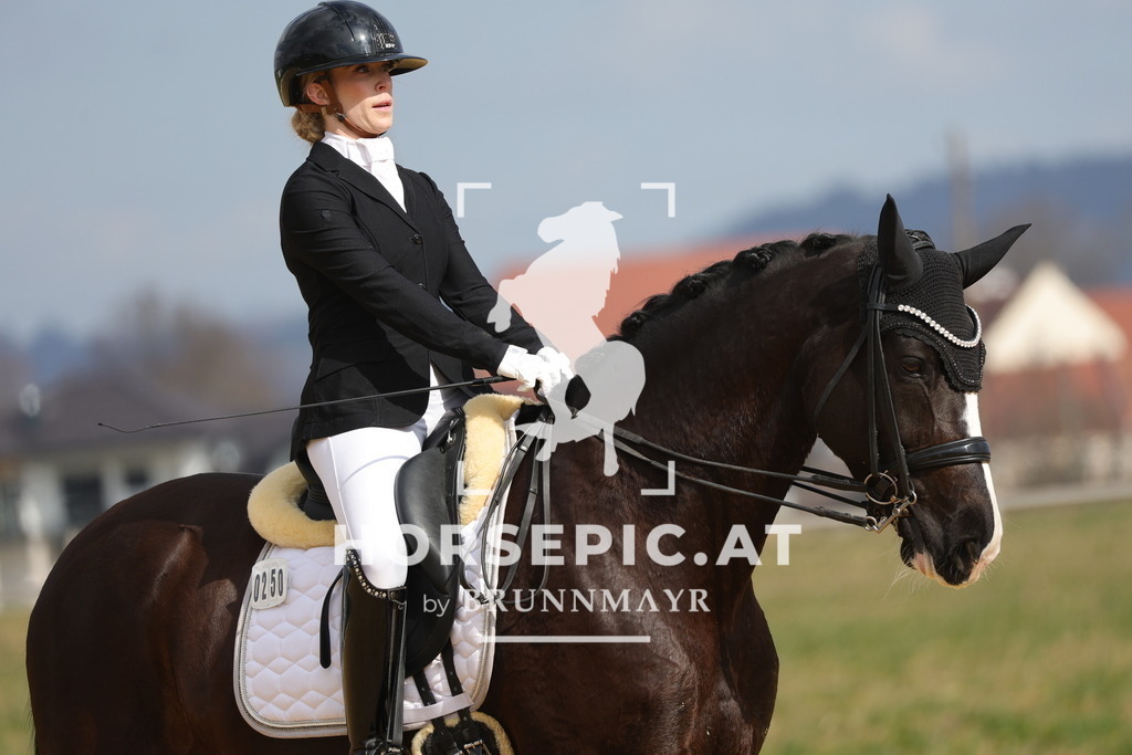 0P6A6604 | Willkommen bei Brunnmayr - Design & Fotografie – Ihrem Spezialisten für Reitturniere und Pferdeveranstaltungen in Oberösterreich, Salzburg und Bayern! Seit über 17 Jahren sind wir leidenschaftlich dabei.