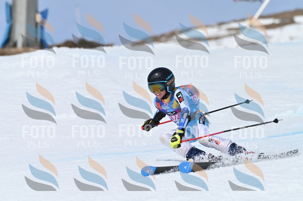 BGV_4082 | holidayphoto