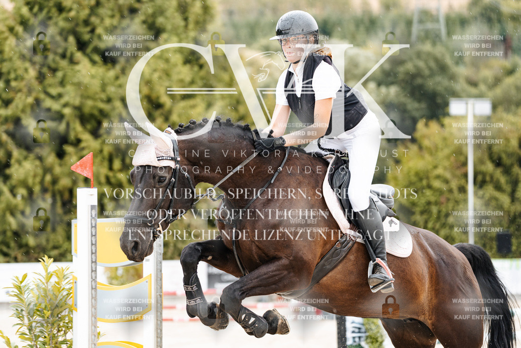 CK908576 | Turnierfotografie Pferdefotografie Trier Rheinland-Pfalz Pferdesport Reitsport Tierfotografie Sportfotografie Pferdevideo Pferdevideografie Equestrianvideography equestrianphotography  - Realisiert mit Pictrs.com