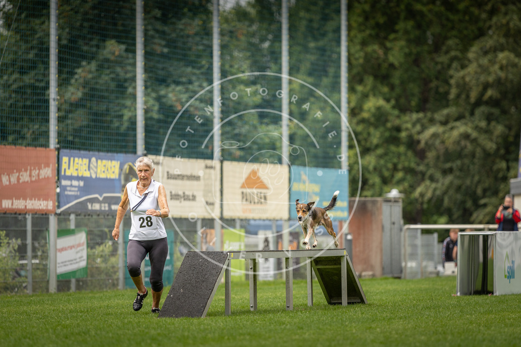 Pfotenfotografie_DV3A8719 | Hundefotografie, Tierfotograf, Pfotenfotografie, Fotoshooting Hund, Hunde Portrait, Hundesport, Hundeportraits, Heideshooting, Hunde, Sportfotograf, Hundefotograf, Turnierhundsport, THS,  - Realisiert mit Pictrs.com