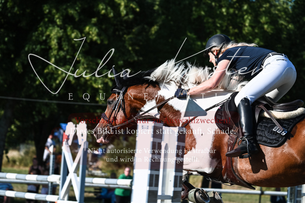 DSC_2849 | Pferde- und Turnierfotografie in Westsachsen. Pferdeportraits, Auftragszeichnungen und intuitive Kunst.