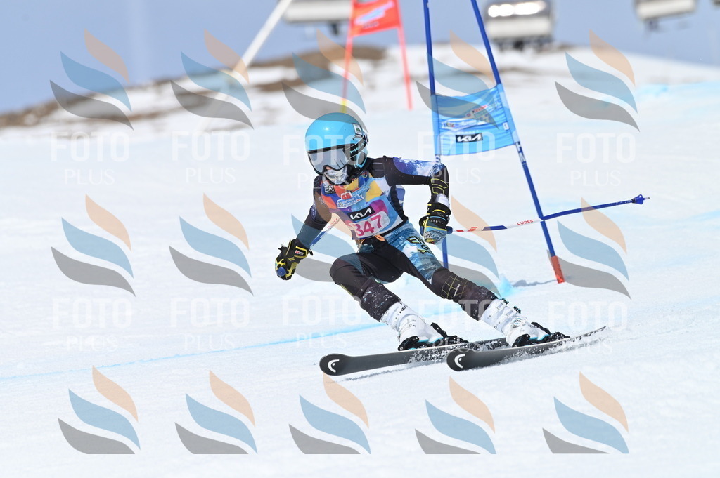 BGV_3584 | holidayphoto