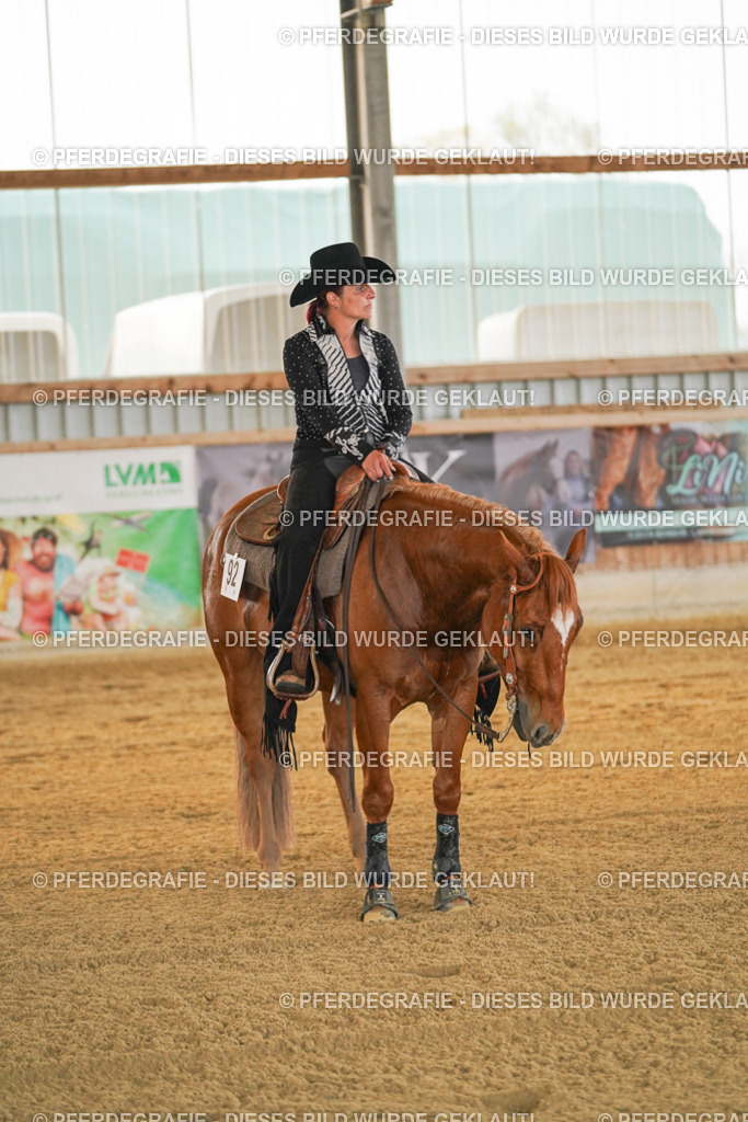 DSC08704 | Pferdegrafie