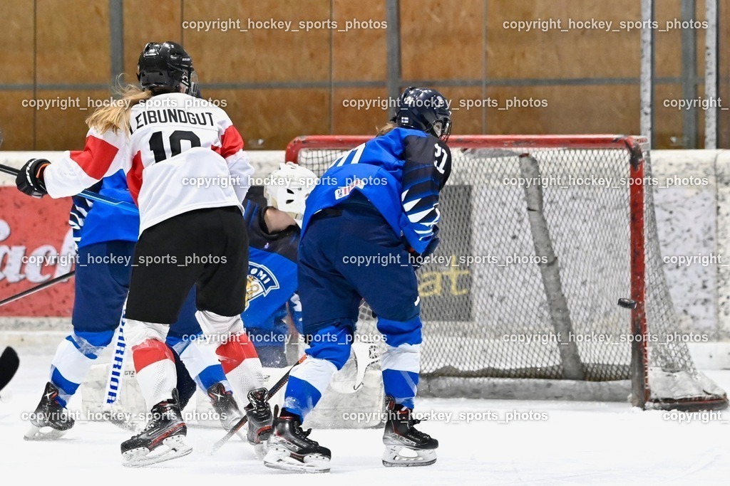 BST_3226 | hockey sports photos, Pressefotos, Sportfotos, hockey247, win 2day icehockeyleague, Handball Austria, Floorball Austria, ÖVV, Kärntner Eishockeyverband, KEHV, KFV, Kärntner Fussballverband, Österreichischer Volleyballverband, Alps Hockey League, ÖFB, 