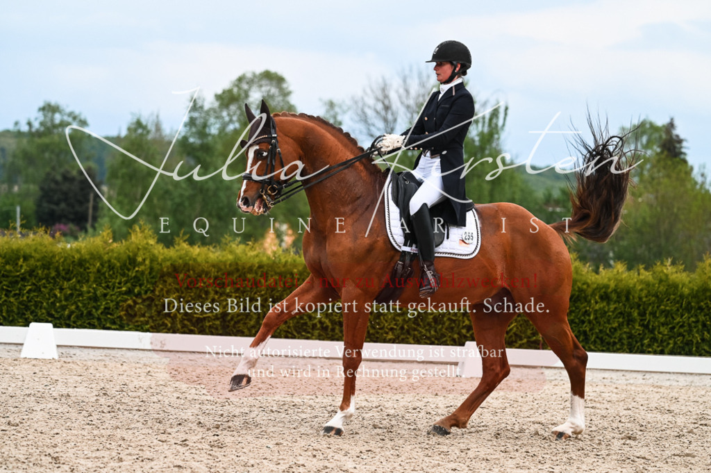 20230513_JK-Röhrsdorf-13-698 | Pferde- und Turnierfotografie in Westsachsen. Pferdeportraits, Auftragszeichnungen und intuitive Kunst.