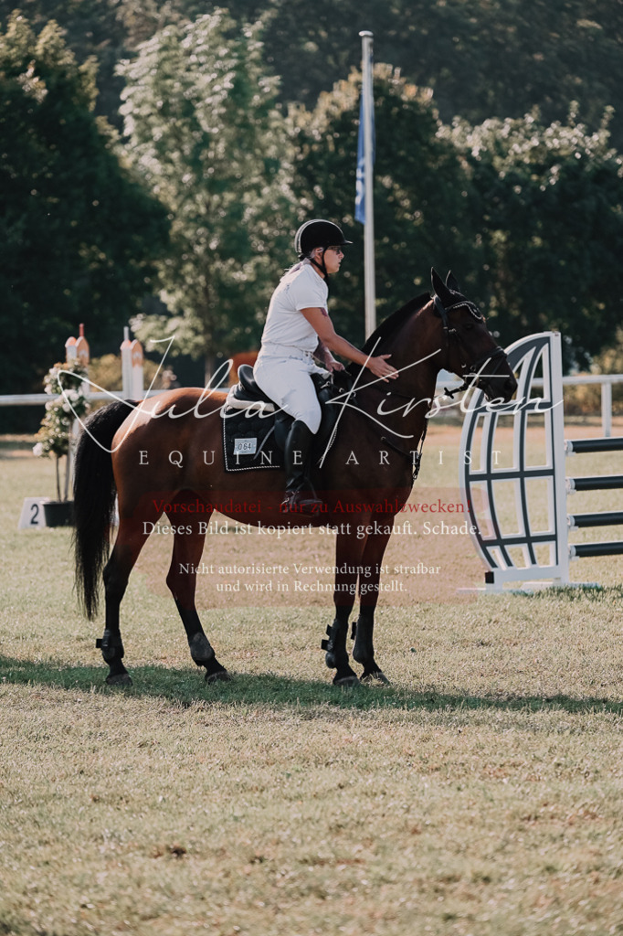 DSC_4607 | Pferde- und Turnierfotografie in Westsachsen. Pferdeportraits, Auftragszeichnungen und intuitive Kunst.