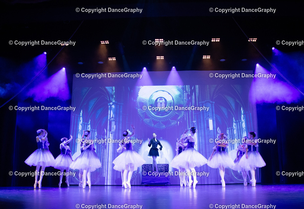 GPHY2674 | DanceGraphy - Realisiert mit Pictrs.com