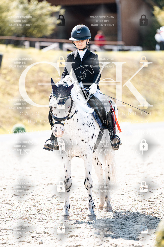 CK904249 | Turnierfotografie Pferdefotografie Trier Rheinland-Pfalz Pferdesport Reitsport Tierfotografie Sportfotografie Pferdevideo Pferdevideografie Equestrianvideography equestrianphotography  - Realisiert mit Pictrs.com